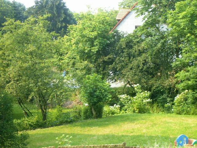 Waldpension Zum Felsenkeller Lichtenfels-Sachsenberg Zewnętrze zdjęcie