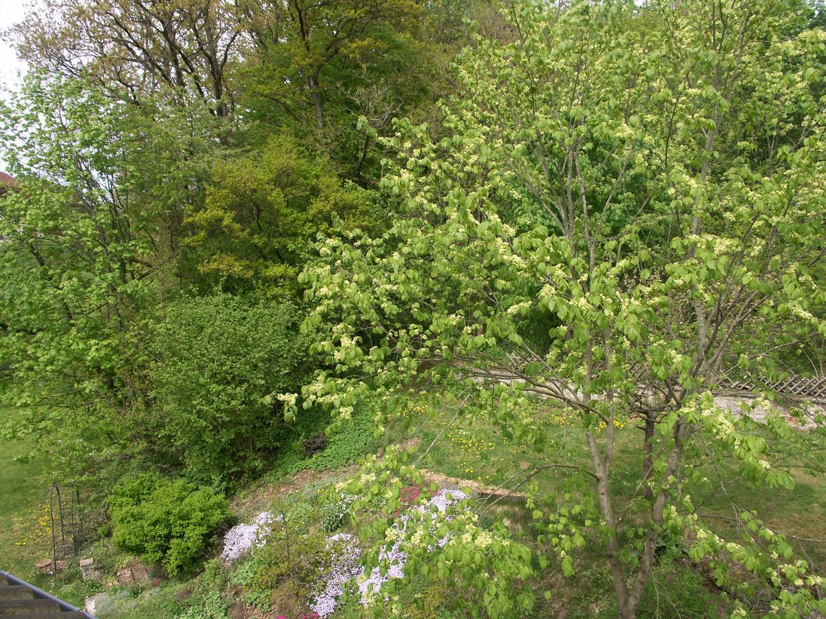Waldpension Zum Felsenkeller Lichtenfels-Sachsenberg Zewnętrze zdjęcie